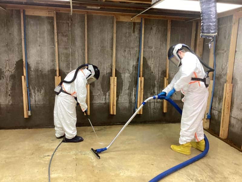 Water damage restoration team