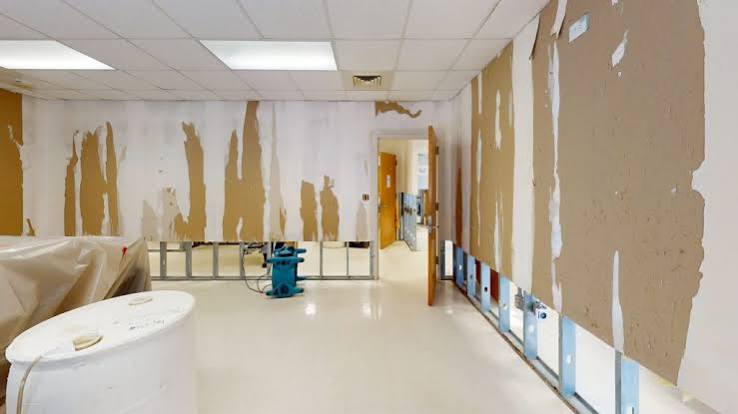 Flood damage restoration technician applying antimicrobial disinfection services