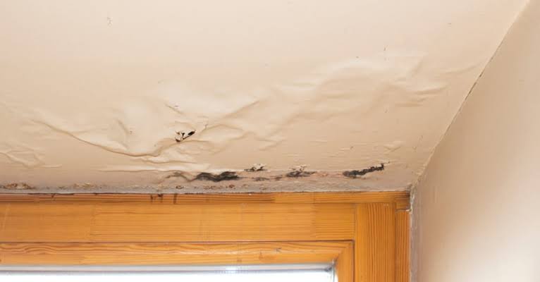 Water damage odor causing ceiling stains from trapped moisture