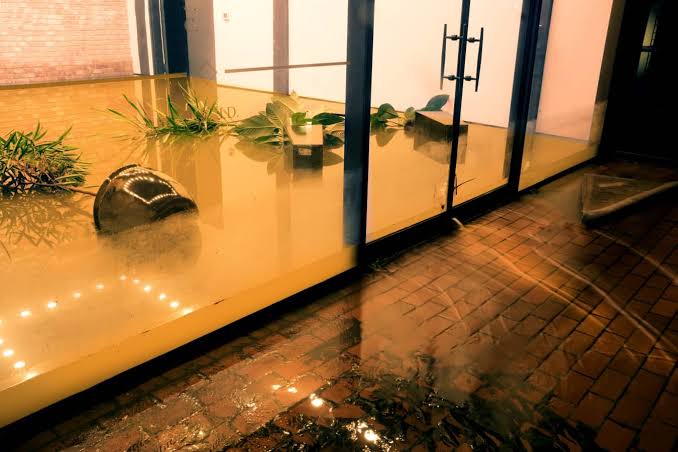 commercial water damage restoration crew working in office space