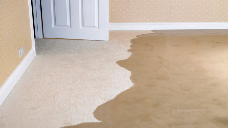 basement flooding vancouver standing water near foundation wall